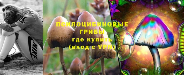 скорость Сосновый Бор