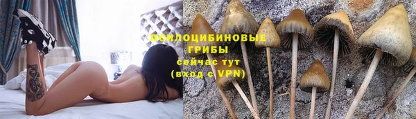 винт Строитель