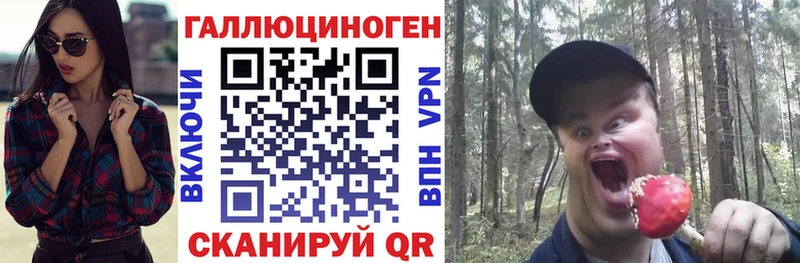 blacksprut как войти  Ухта  Галлюциногенные грибы Psilocybe 
