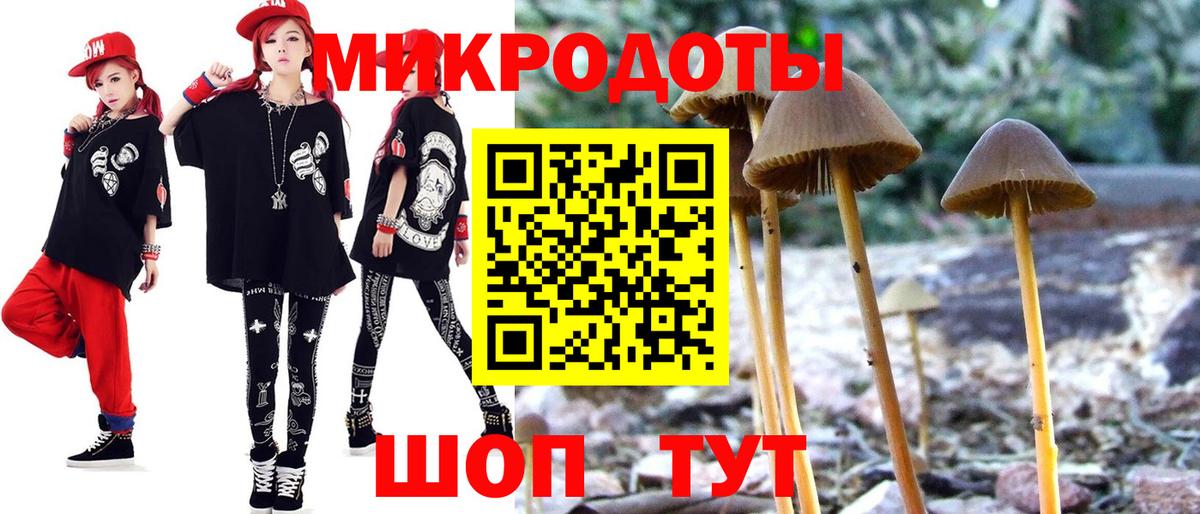 Галлюциногенные грибы MAGIC MUSHROOMS Ухта